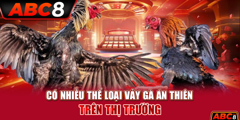 Có nhiều thể loại vảy gà Án Thiên trên thị trường