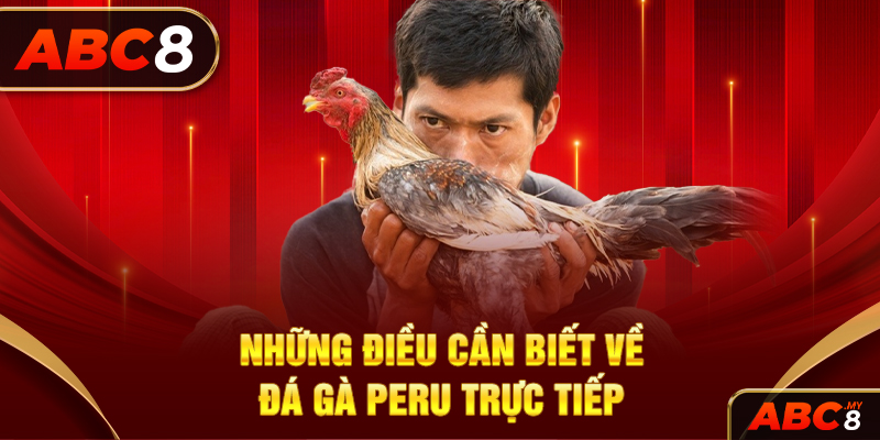 Những điều cần biết về đá gà Peru trực tiếp