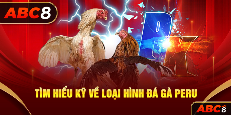 Tìm hiểu kỹ về loại hình đá gà Peru