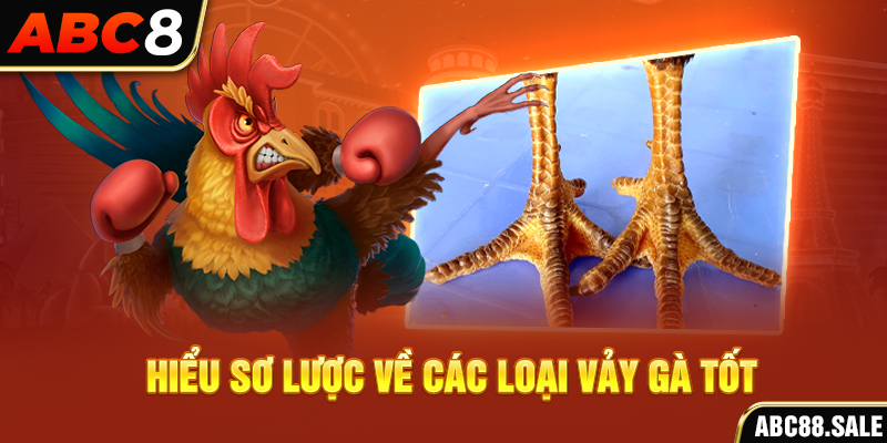 Hiểu sơ lược về các loại vảy gà tốt